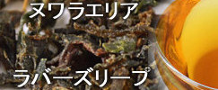 �k�����G���A�g�� ���o�[�Y���[�v����