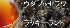 �E�_�v�b�Z�����g�� ���b�L�[�����h����