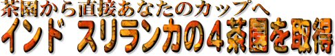 �������G�C�v�����t�[���ł��B