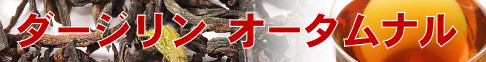 �H�E�� �g�� �_�[�W���� �I�[�^���i�� �T���O�}����